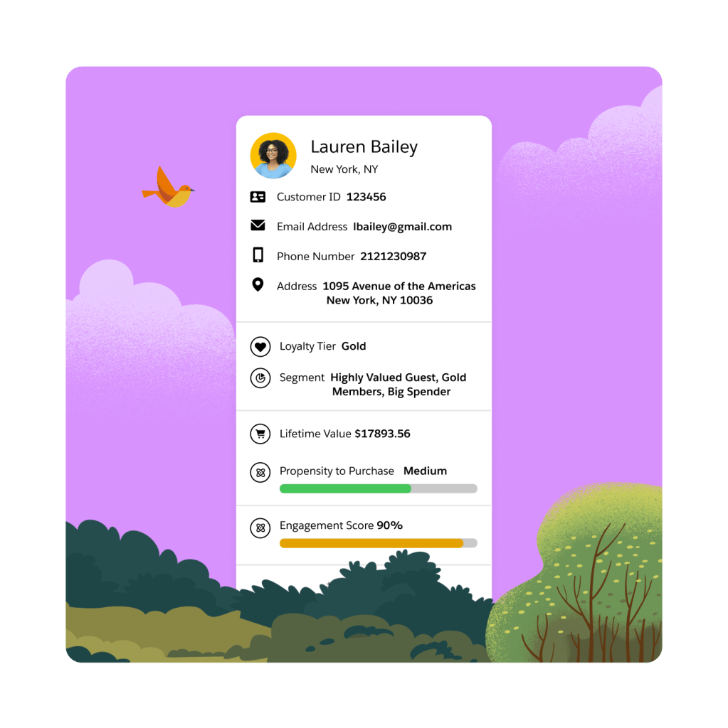 A single customer view of a Loyalty Management section.